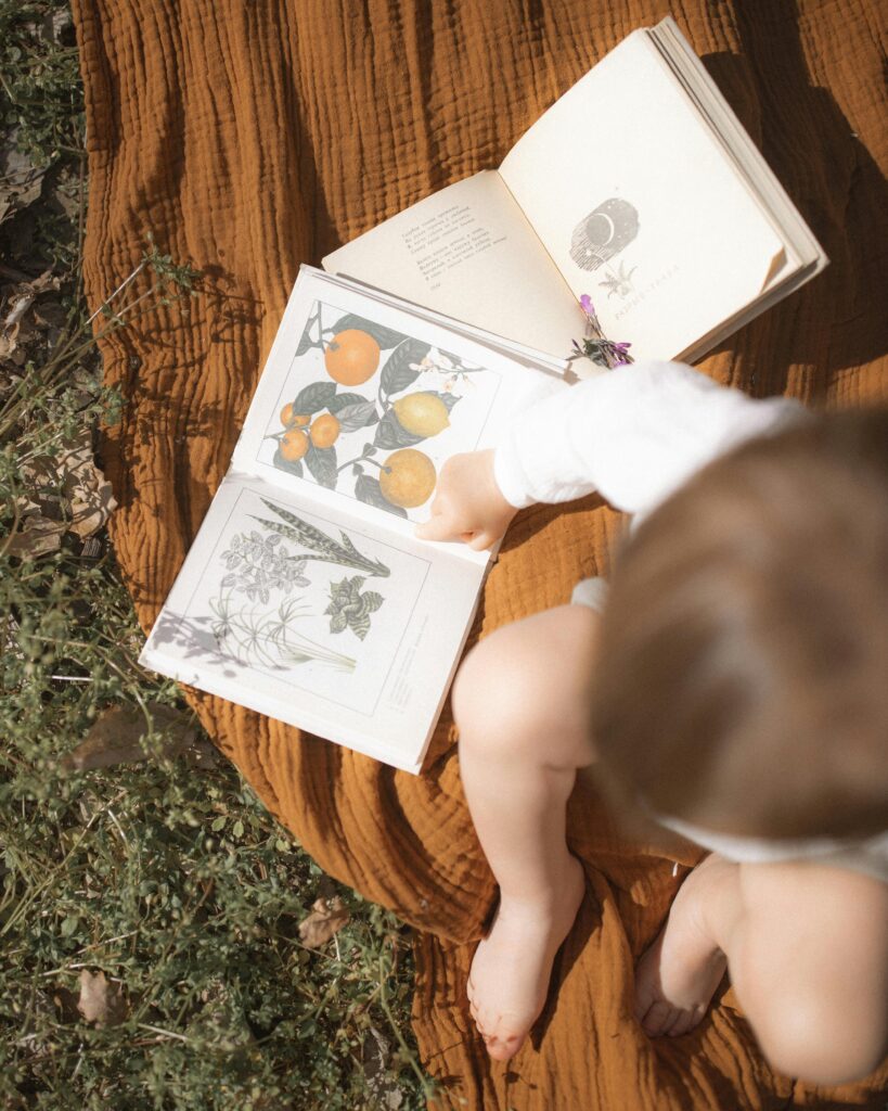 pexels photo 4513213 4513213 A toddler examines botanical illustrations in an open book on a blanket outdoors.